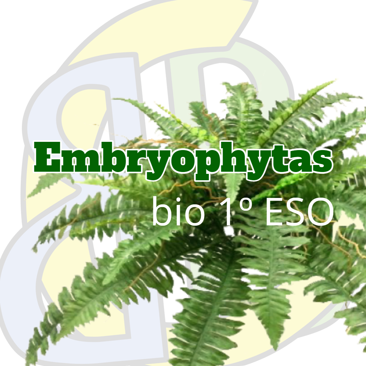 As Embryophytas
